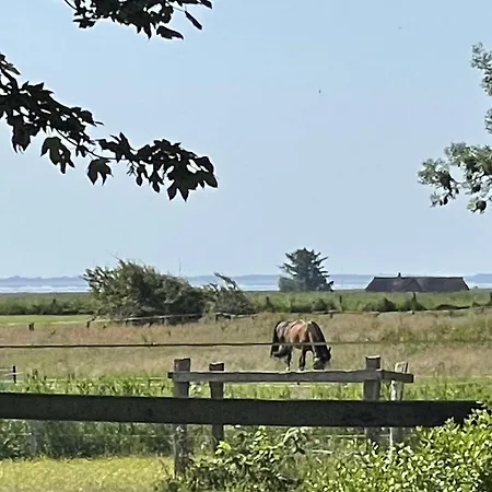 Litzkow 14210 Daire Morsum (Sylt)