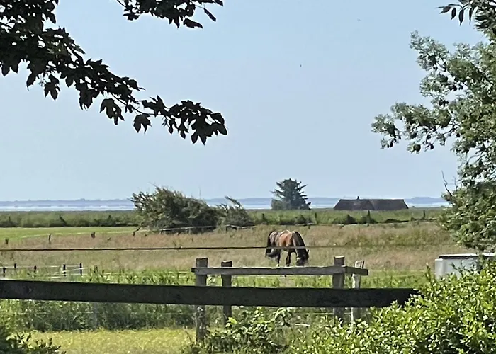 Litzkow 14210 Appartement Morsum (Sylt)